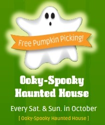 Ooky Spooky Haunted House: