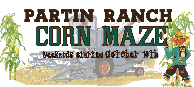 Partin Ranch Corn Maze